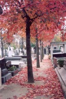 paris-cementerio